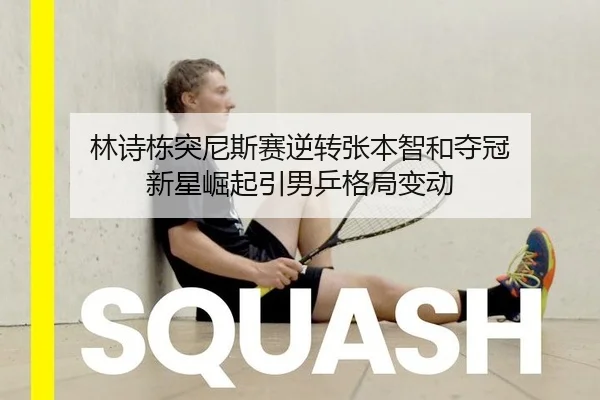 lin-shi-dong-tu-ni-si-sai-ni-zhuan-zhang-ben-zhi-he-duo-guan-xin-xing-jue-qi-yin-nan-ping-ge-ju-bian-dong-2-779.jpg